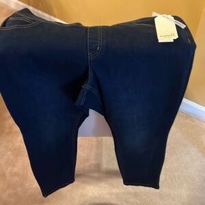 NWT Women’s One World Denim Jeans Size 1X
